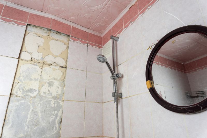 Shower Tile Repair in Conroe, TX